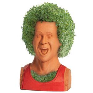 NWOB Richard Simmons Chia Pet Handmade Planter Joseph Enterprises